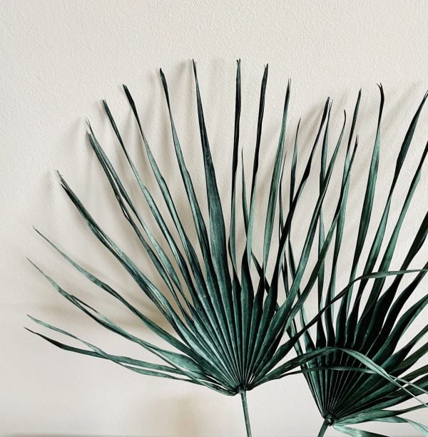zwarte gedroogd palmblad
